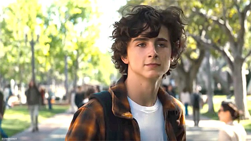 Các tập phim có sự tham gia của Timothée Chalamet (hình 10)