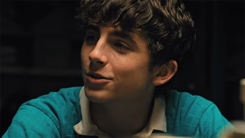 Các tập phim có sự tham gia của Timothée Chalamet (hình 11)