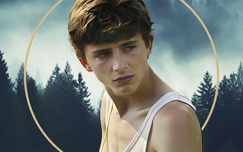 Các tập phim có sự tham gia của Timothée Chalamet (hình 15)