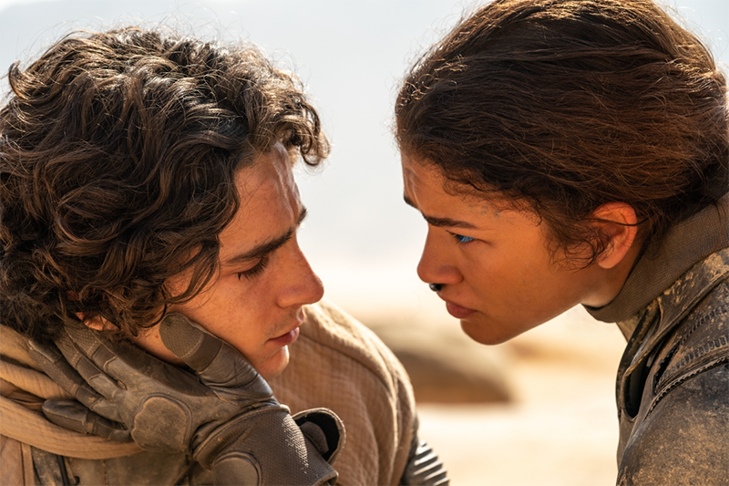 Các tập phim có sự tham gia của Timothée Chalamet (hình 2)