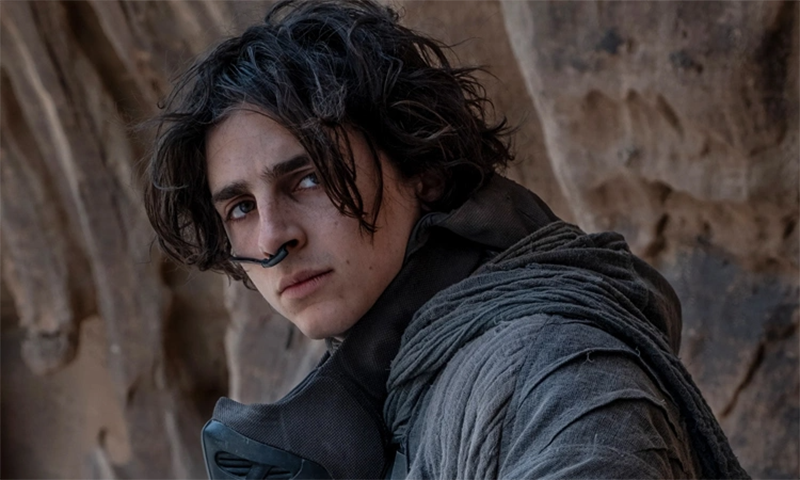 Các tập phim có sự tham gia của Timothée Chalamet (hình 4)