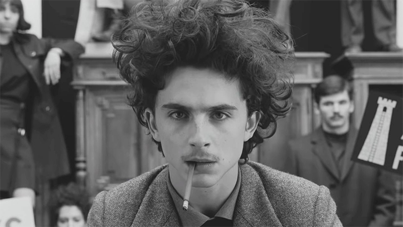Các tập phim có sự tham gia của Timothée Chalamet (hình 5)