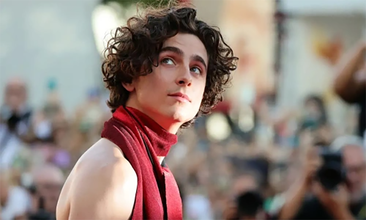 Các tập phim có sự tham gia của Timothée Chalamet (hình 6)