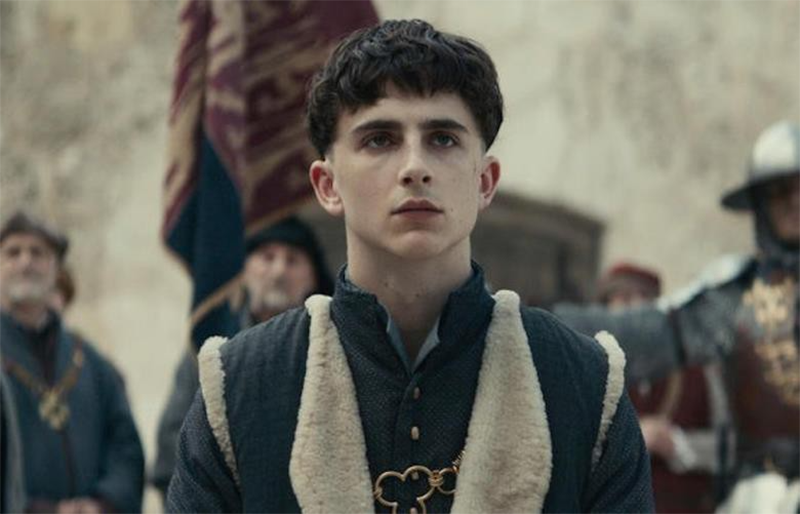 Các tập phim có sự tham gia của Timothée Chalamet (hình 8)