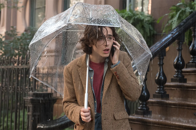 Các tập phim có sự tham gia của Timothée Chalamet (hình 9)
