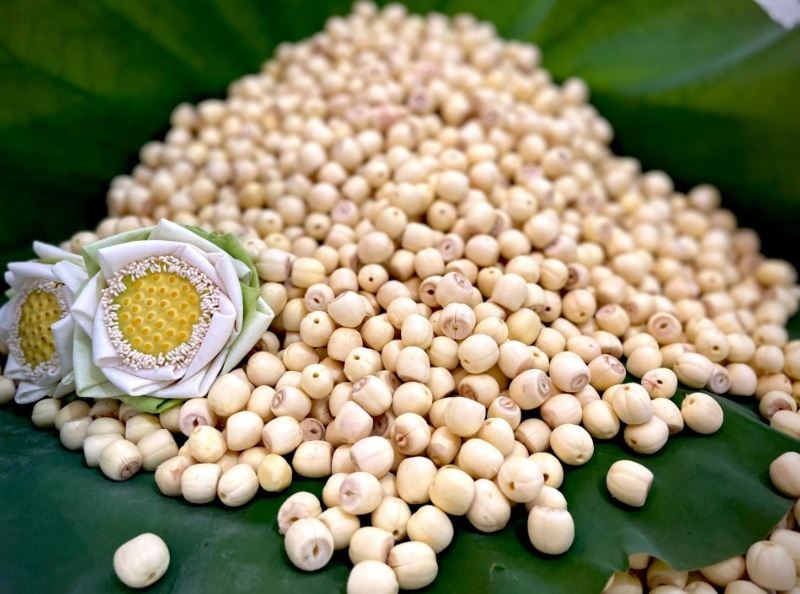 cách ăn hạt sen tươi 1