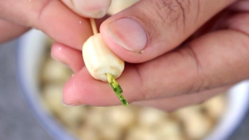 cách ăn hạt sen tươi 2