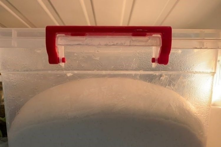 Cách bảo quản bột mì đã nhào trong tủ lạnh đảm bảo chất lượng, giữ nguyên hương vị