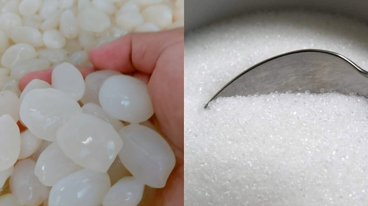 Cách bảo quản hạt đác tươi (Hình 3)