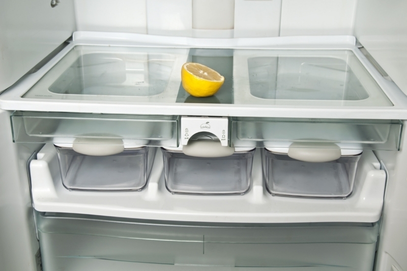 Cách bảo quản mít trong tủ lạnh 4