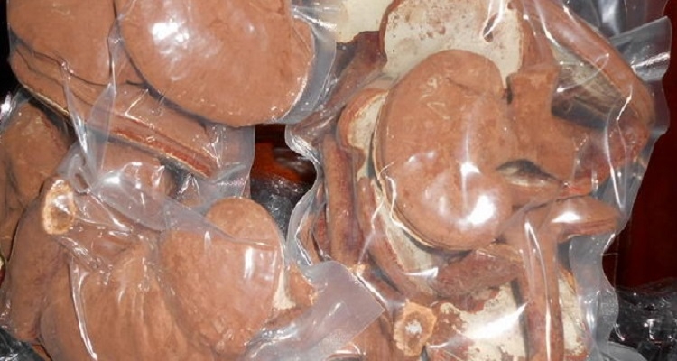 Cách bảo quản nấm linh chi (Hình 6)