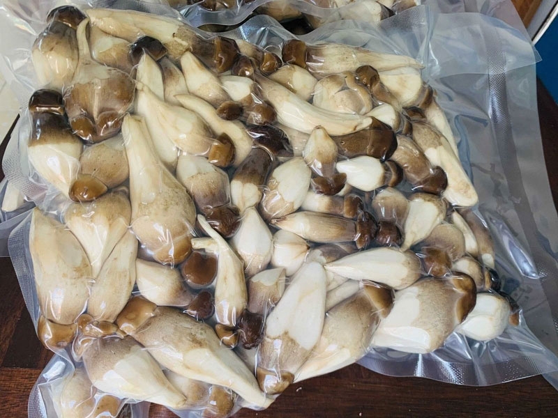 Cách bảo quản nấm mối hình 2