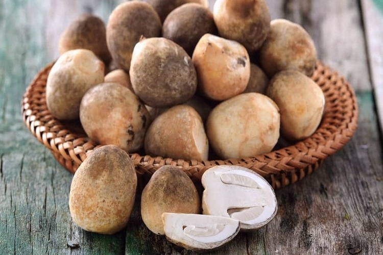 Cách bảo quản nấm rơm trong tủ lạnh để giữ được độ tươi ngon và dinh dưỡng lâu dài