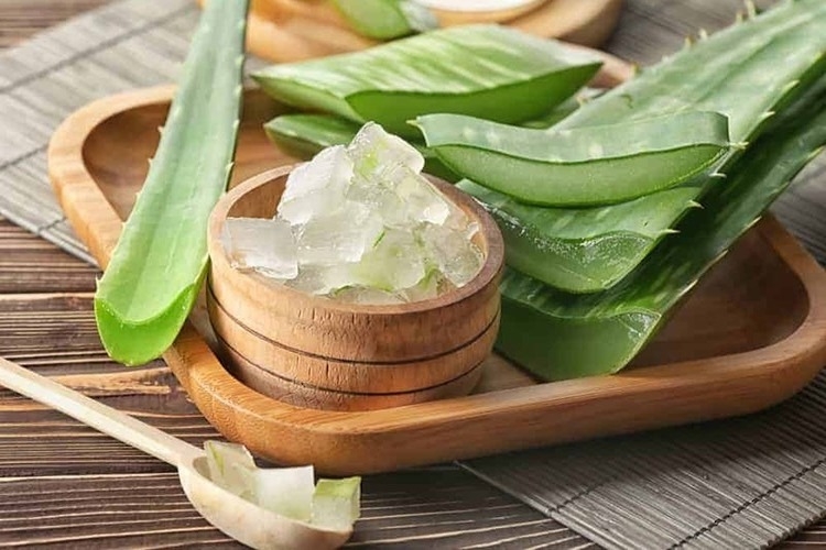 Cách bảo quản nha đam trong tủ lạnh giúp tươi lâu, không bị nhớt và giữ nguyên dưỡng chất