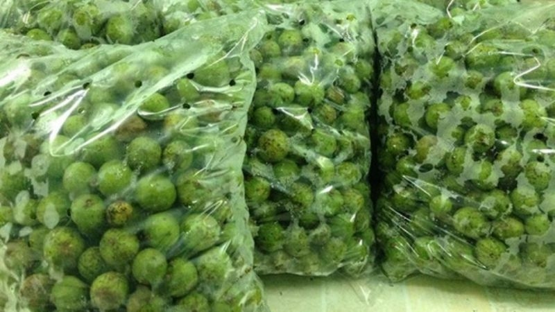 cách bảo quản quả sấu 1