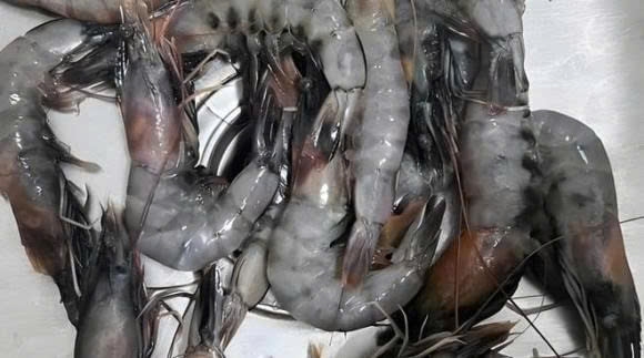 cách bảo quản tôm tươi không có tủ lạnh ảnh 6