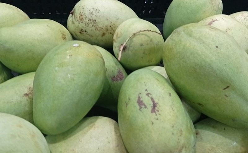 Cách bảo quản xoài xanh trong tủ lạnh 2