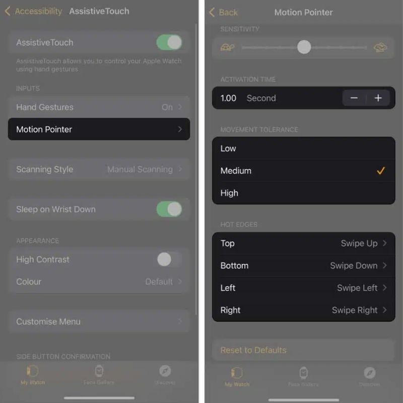 Tùy chỉnh Motion Pointer trên Apple Watch