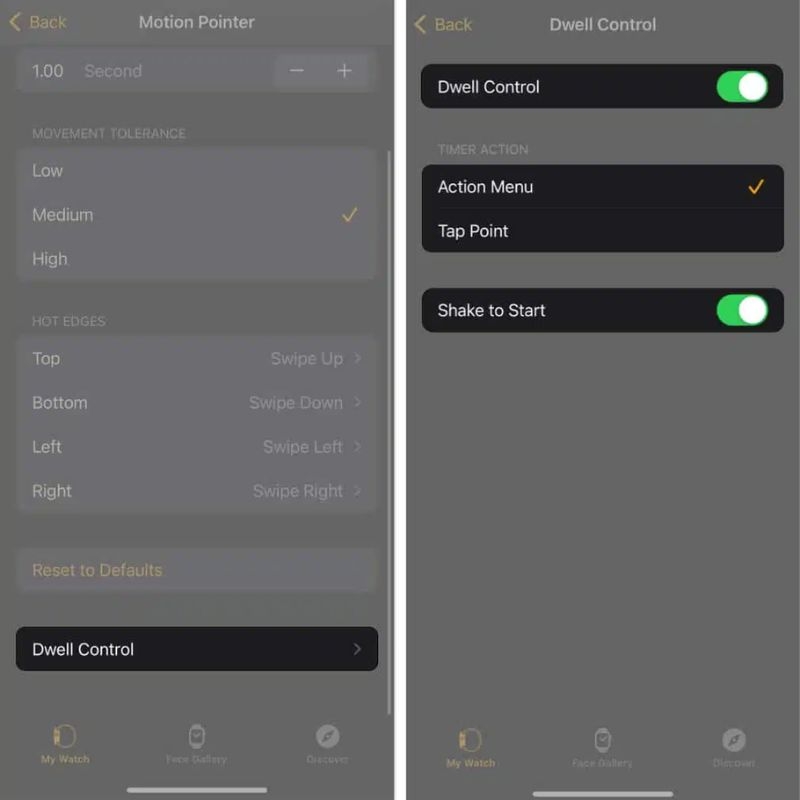 Tùy chỉnh Motion Pointer trên Apple Watch