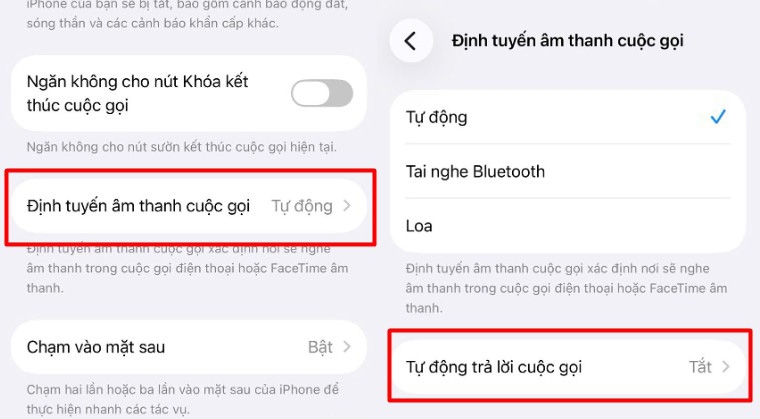 Cách bật, tắt chế độ tự động trả lời cuộc gọi trên iPhone - hình 9