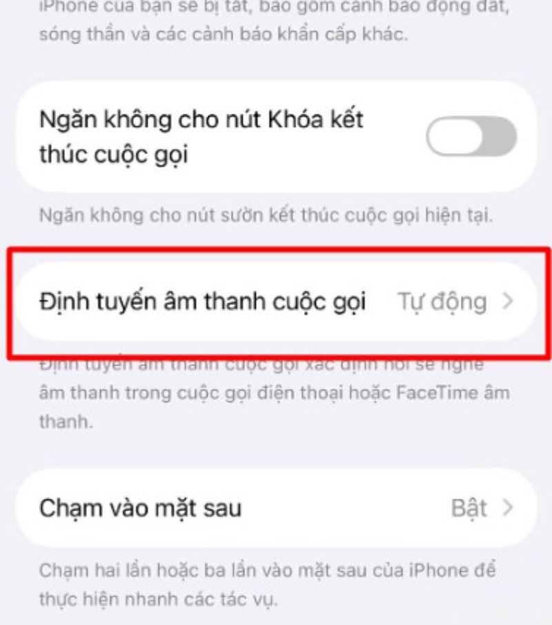 Cách bật, tắt chế độ tự động trả lời cuộc gọi trên iPhone - hình 5