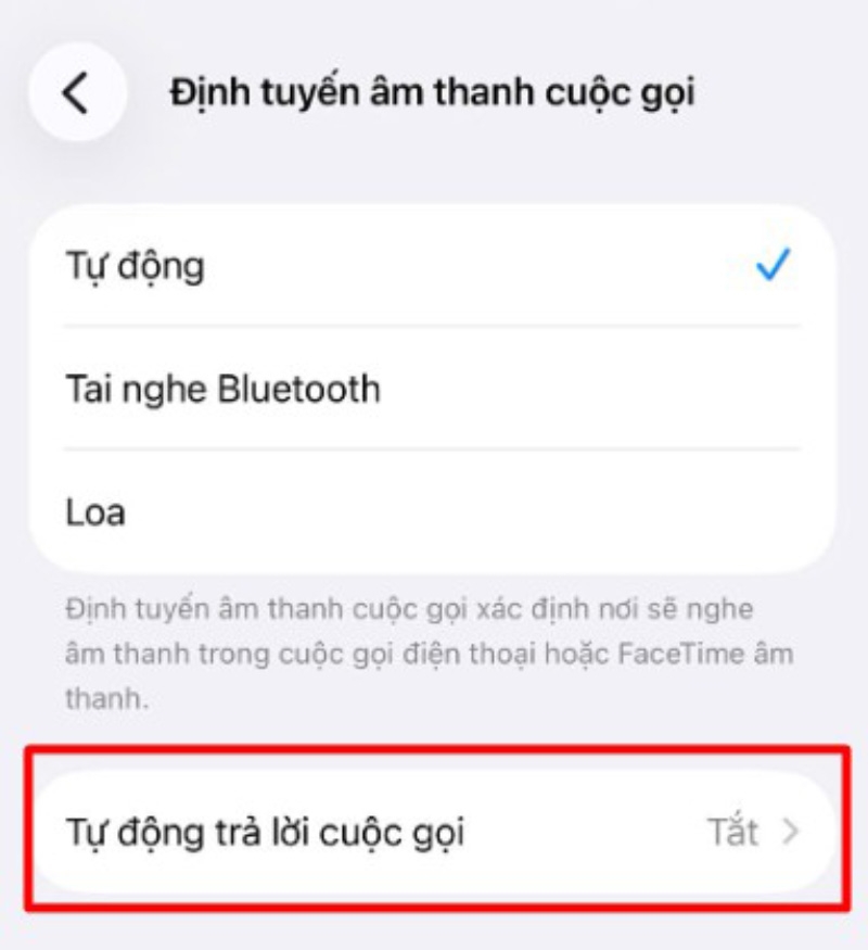 Cách bật, tắt chế độ tự động trả lời cuộc gọi trên iPhone - hình 6