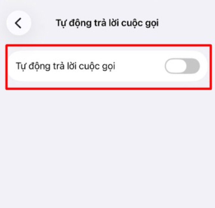 Cách bật, tắt chế độ tự động trả lời cuộc gọi trên iPhone - hình 10