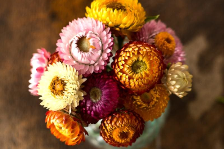 Cách cắm hoa bất tử khô hình 5