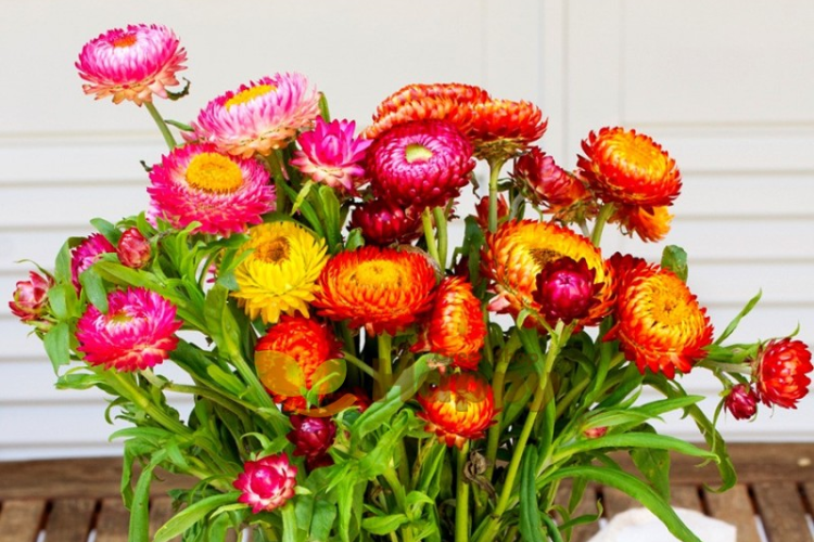 Cách cắm hoa bất tử khô hình 6