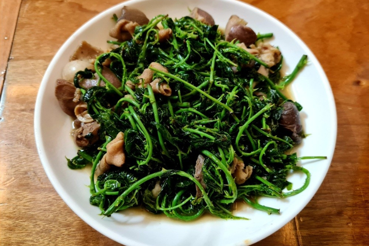 cách chế biến cây ngũ gia bì 4