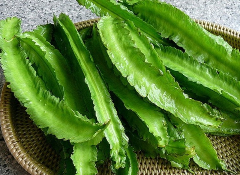 Cách chế biến đậu rồng - hình 1