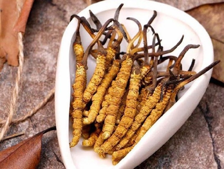 cách chế biến đông trùng hạ thảo ảnh2