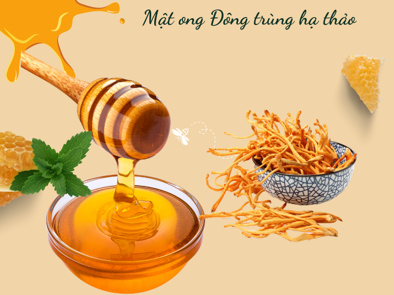 cách chế biến đông trùng hạ thảo ảnh 9