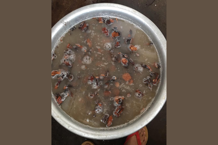 Sơ chế hà thủ ô đúng cách