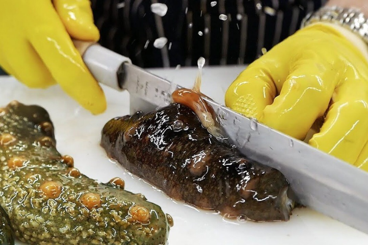 cách chế biến hải sâm 3