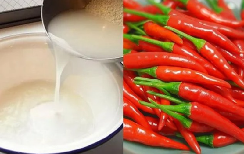 Cách chế biến măng tươi an toàn, tránh bị ngộ độc (hình 3)