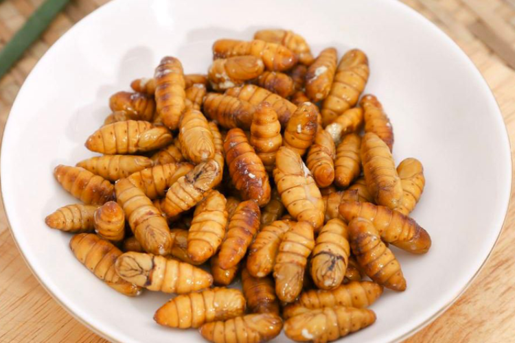 cách chế biến nhộng tằm 1