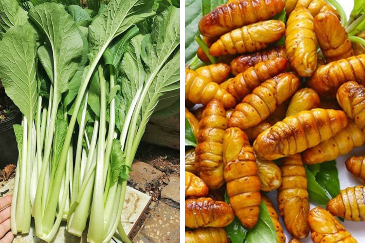 cách chế biến nhộng tằm 5