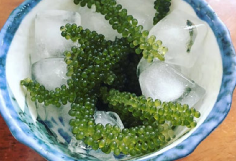 chế biến rong nho (hình 4)