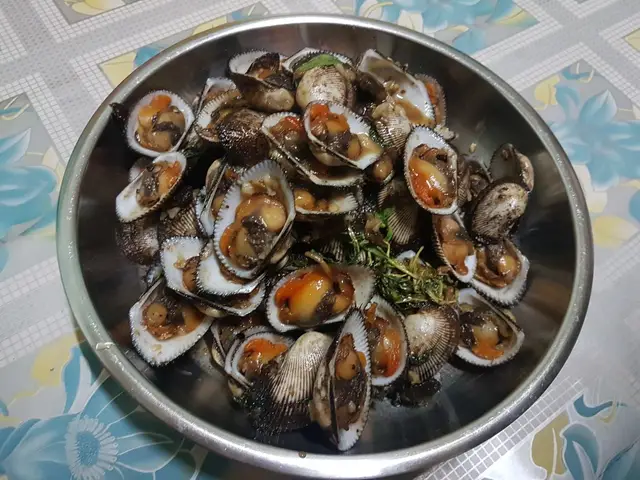cách chế biến sò lông 12