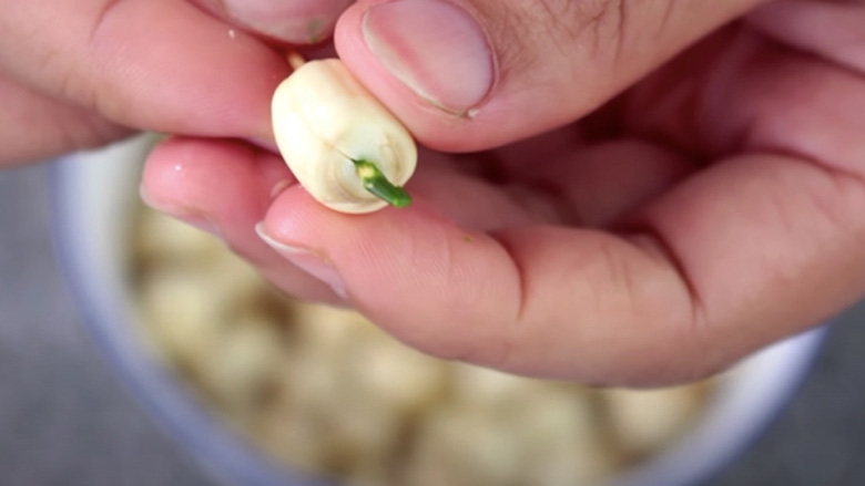 chế biến yến sào ảnh 12