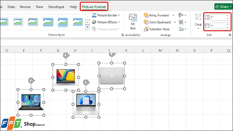 Cách chèn ảnh vào Excel vừa ô ảnh 3