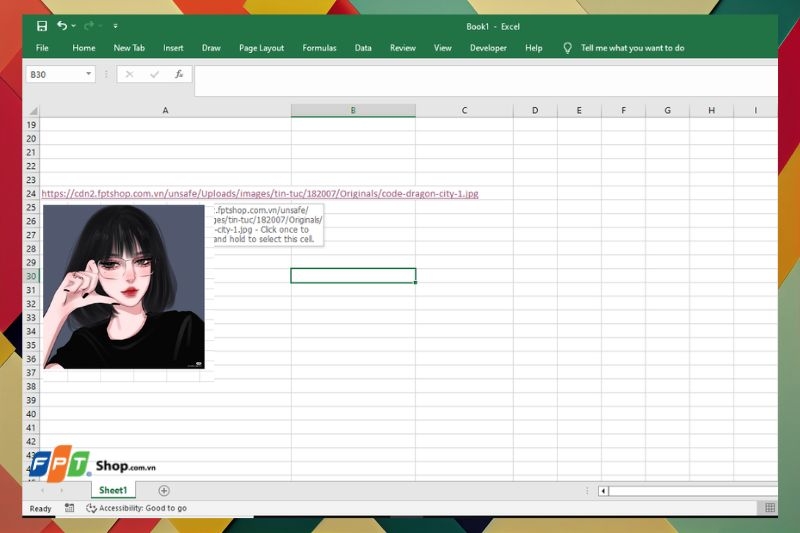 cách chèn link ảnh trong Excel ảnh 5