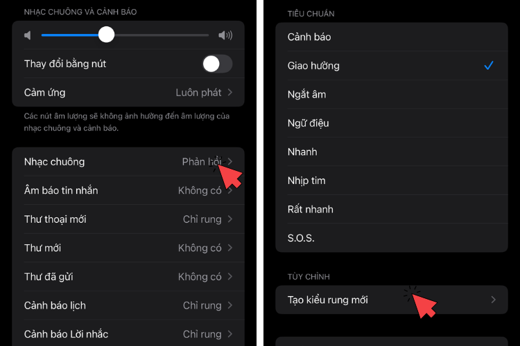 Cách chỉnh chế độ rung trên iPhone hình 5