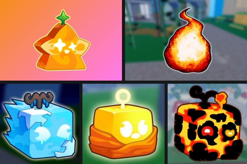 cách chơi blox fruits cho người mới 9