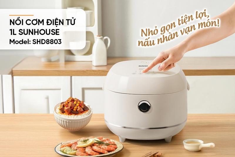 Cách chọn nồi cơm điện cho gia đình 2 người 1