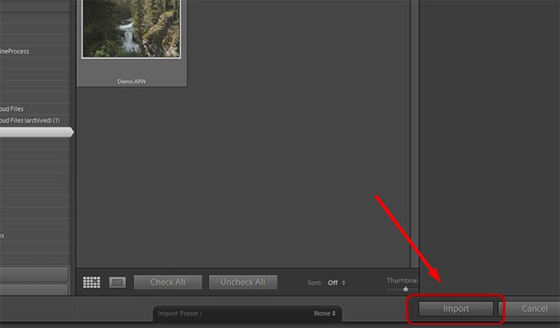 cách chuyển file RAW sang JPG hàng loạt (hình 8)