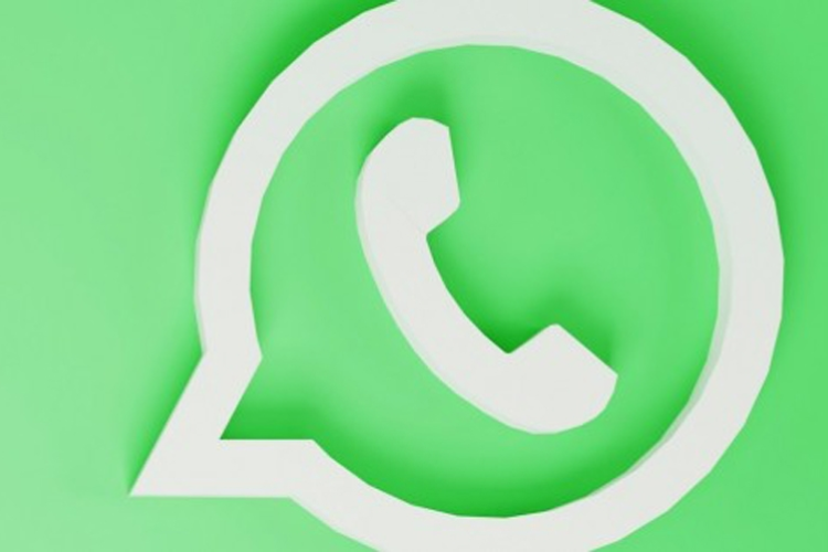 cách đăng xuất WhatsApp hình 6