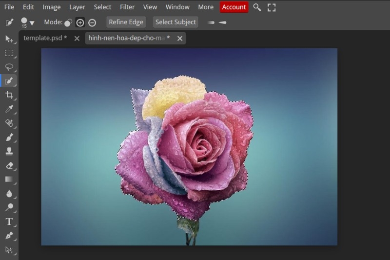 Cách đảo ngược vùng chọn Photoshop ảnh 10