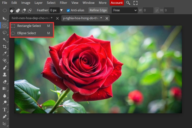 Cách đảo ngược vùng chọn Photoshop ảnh 12